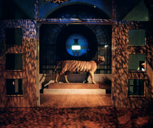 פעילויות לכל המשפחה בחיפה, אירועי חנוכה בחיפה, תערוכות בחיפה, החג של החגים בחיפה